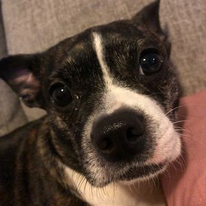 Meet your Posher, Quentin